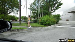 חסכון – לילי הול